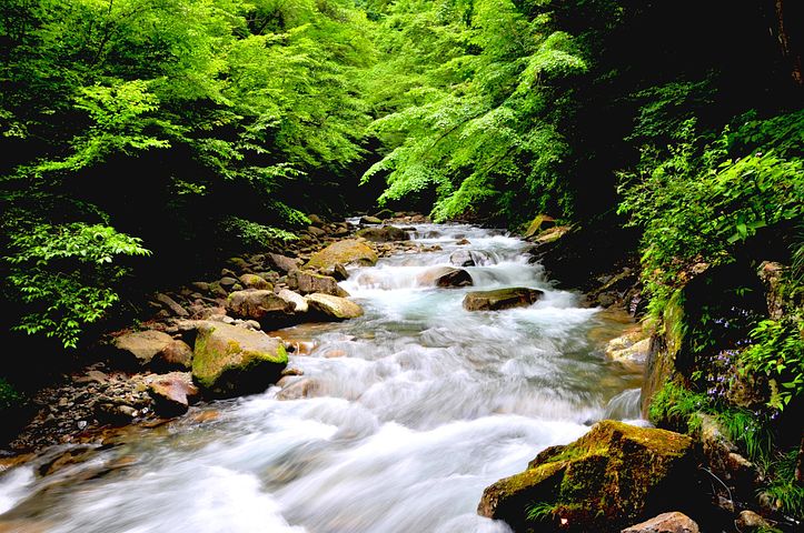 渓流 写真 - 無料イメージのダウンロード - Pixabay