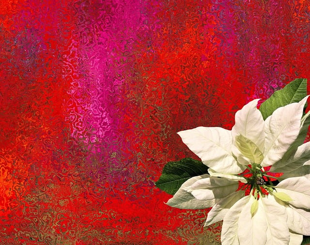 Free christ star christmas christmas star illustration