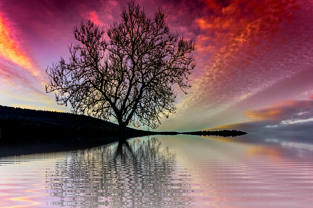 Free sunset sun summer illustration