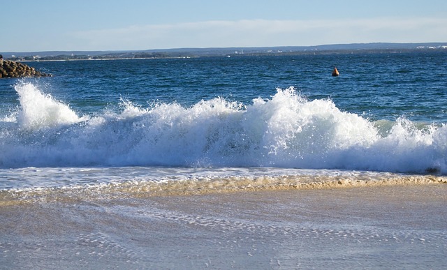Free Beach Waves photo and picture