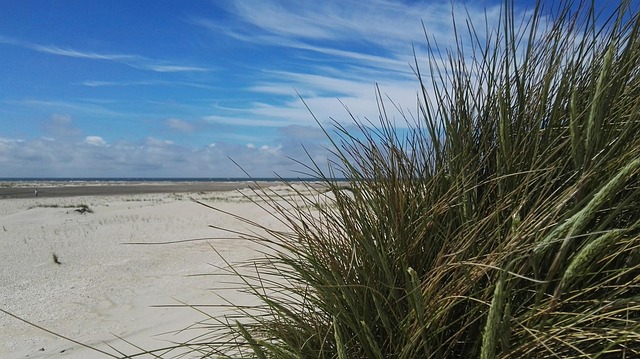 Free Heaven Beach photo and picture