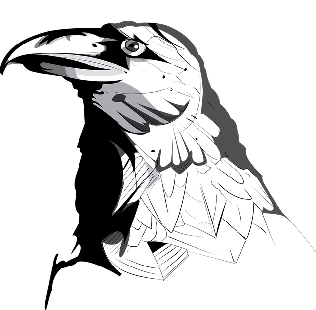 Free crow bird animal illustration