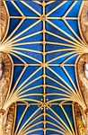 cathedral, blanket, ornament