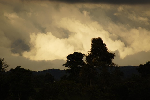 Solnedgange, Landskab, Quindio, Colombia