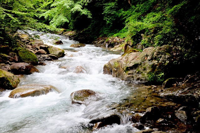 Free Water River photo and picture