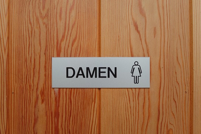 Signo De Baño, Damas, Baño, Inodoro