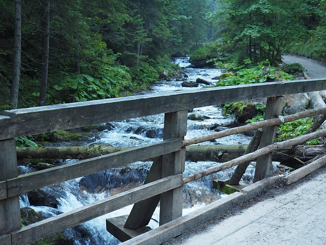 Free Mountain Stream On The Trail photo and picture