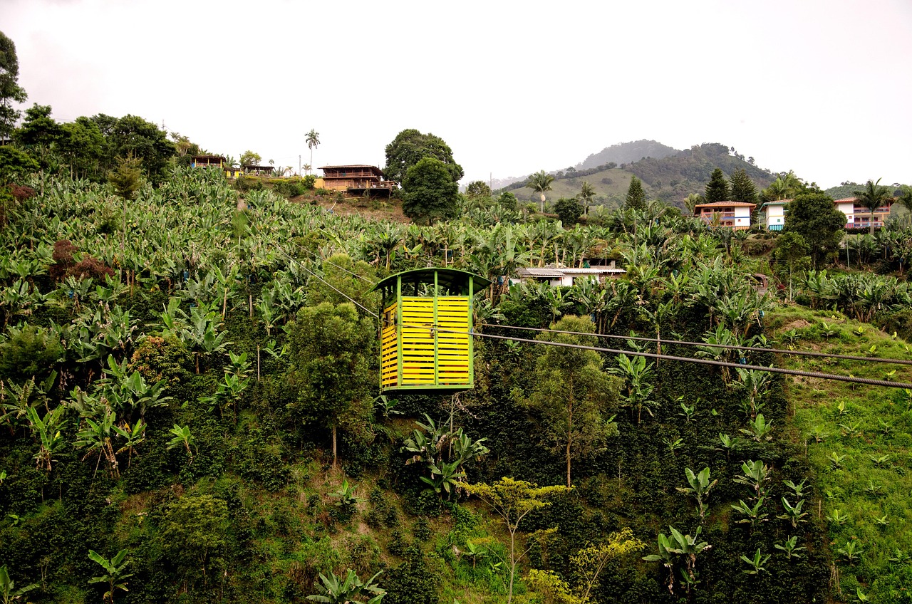 Colombia - free online jigsaw puzzle photo