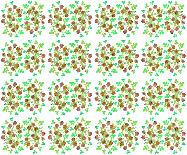 Rosenmuster, Rosen, Blüten