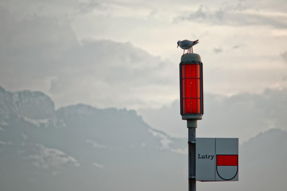 Red Signal Geneva - Free photo on Pixabay