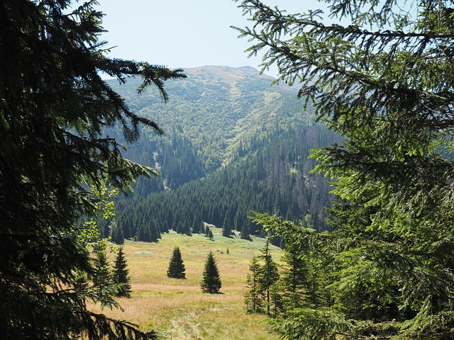 Free Mountains Polyana photo and picture