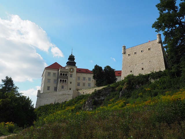 Free The Palace View photo and picture