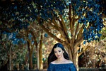 debutante, fifiteen, book