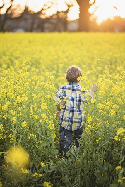 Free Boy Yellow Flowers photo and picture