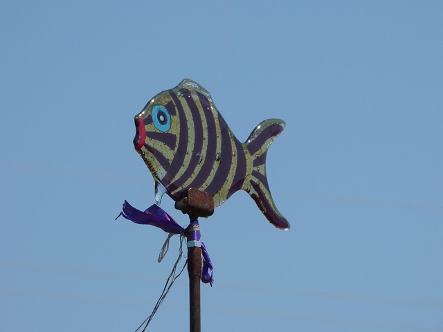 Free Fish Glass Art photo and picture