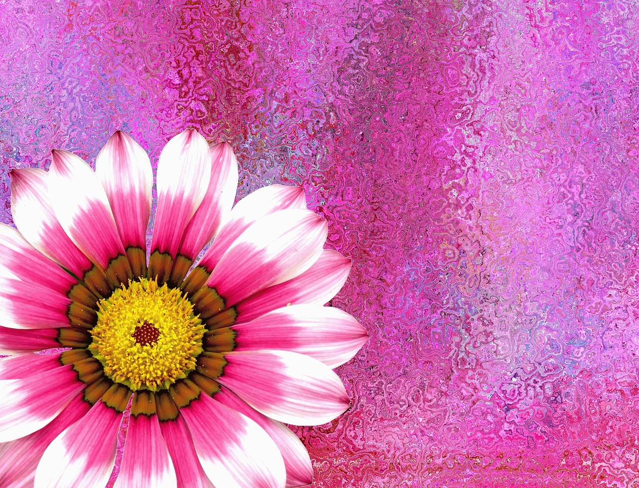 summer-flower-2467942_1280.jpg