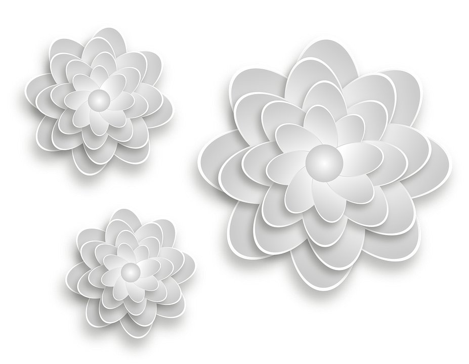 Download Flowers, Grey, Nature. Royalty-Free Stock Illustration Image - Pixabay