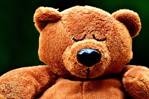 60 Ilmaista Nalle Nukkuu Nalle Kuvaa Pixabay 60 Ilmaista Nalle Nukkuu Nalle Kuvaa Pixabay