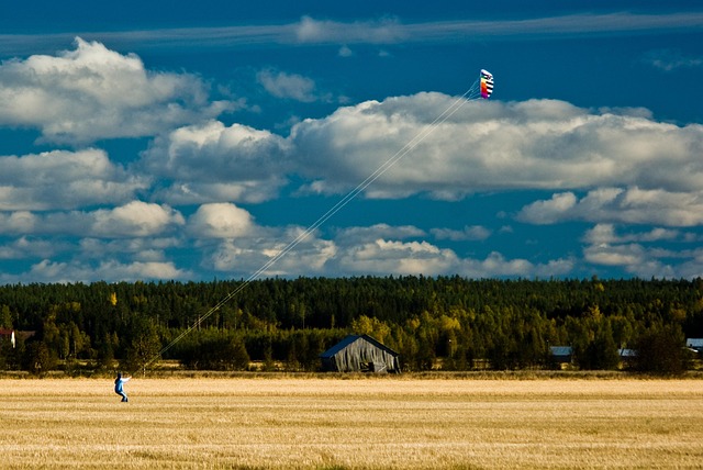 Free Kite Field photo and picture
