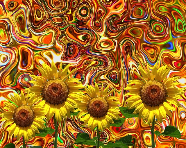 Download free HD stock image of Sunflower Summer Free sunflower summer sun illustration