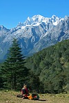 the jade dragon snow mountain, yak meadow, the yi people