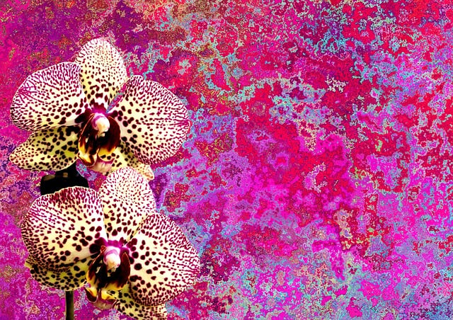 Download free HD stock image of Orchids Flower Free orchids flower nature illustration