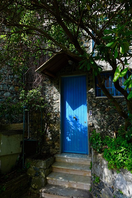 Free Door Blue photo and picture