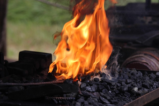 Free Fire Money photo and picture