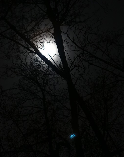 Maan, Maanlicht, Nacht, Lucht, Natuur