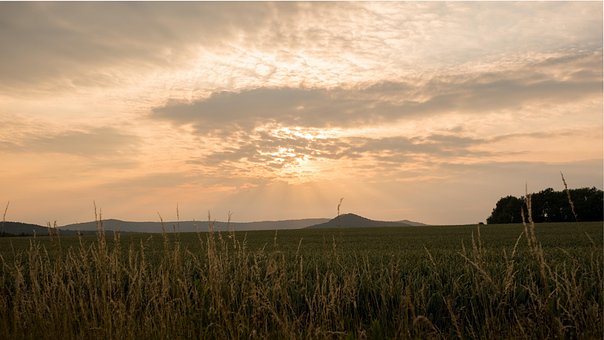 Verão, Campo Pôr Do Sol, Alemanha