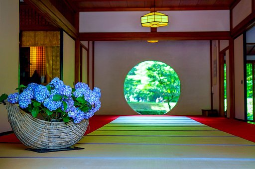 紫陽花, 鎌倉, 明月院, 花, 鎌倉, 鎌倉, 鎌倉, 鎌倉, 鎌倉, 明月院