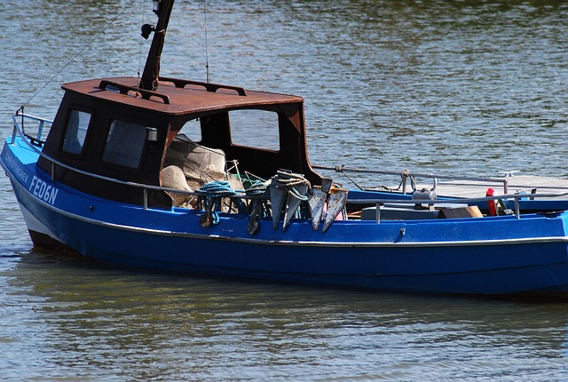 Free Boat Fishing photo and picture