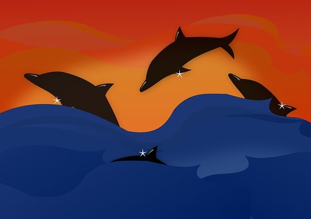Delfine, Sonnenuntergang, Natur