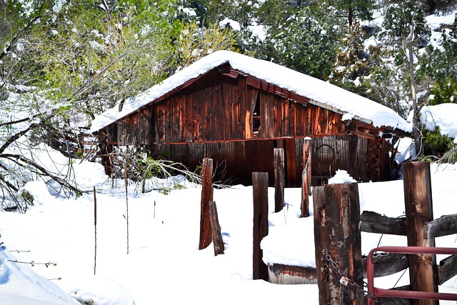 Free Snow Winter photo and picture