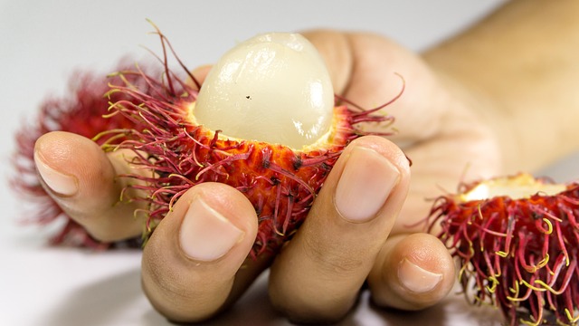 Free Rambutan Fruit photo and picture