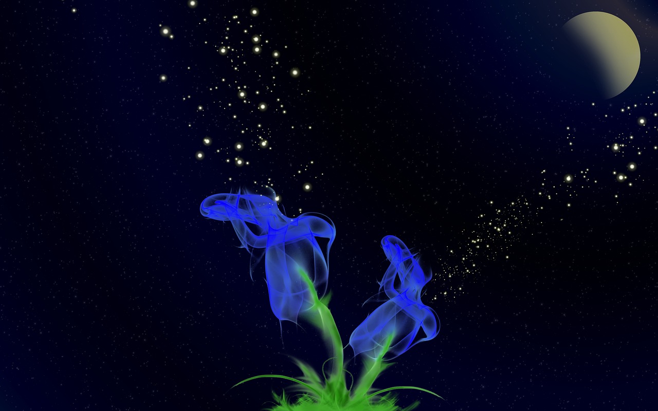 Calla - free online jigsaw puzzle photo