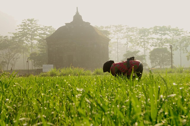 Free Farmer Temple photo and picture