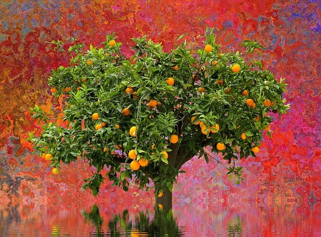 Free tree orange tree nature illustration