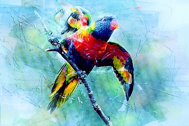 Free bird parrot animal illustration