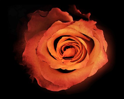 Free Red Orange photo and picture