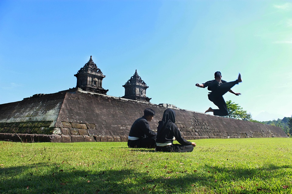 Top 10 Remarkable Facts about Iko Uwais