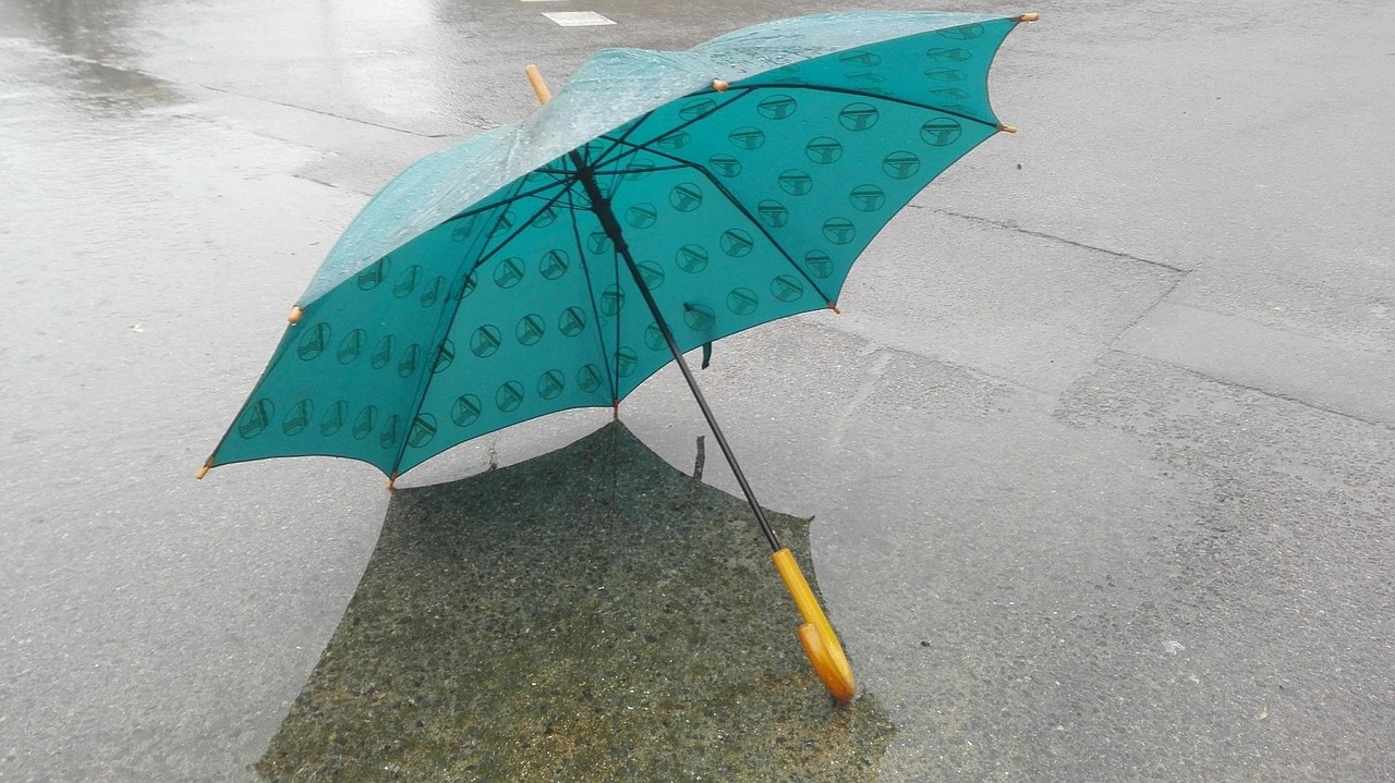Rain - free online jigsaw puzzle photo