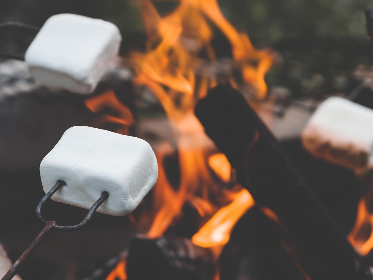 500+ Free Russische Marshmallow & Marshmallow Photos - Pixabay