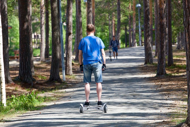 segway, two wheels, promenade, nature, transport, walking around on two wheels, segway, segway, segway, segway, segway