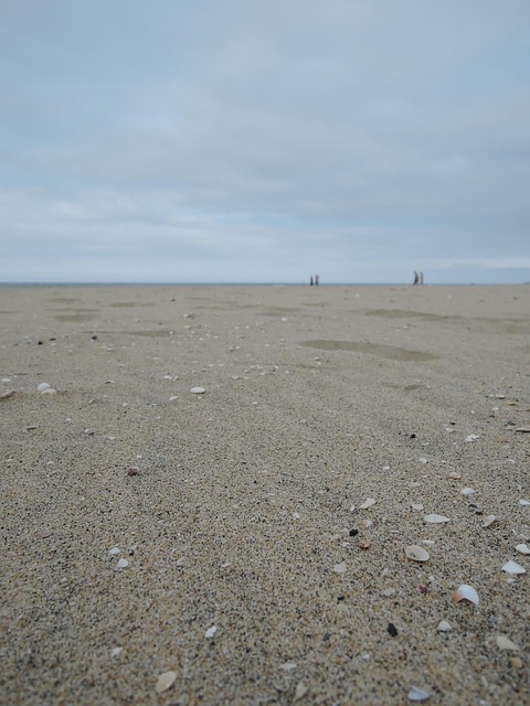 Free Sandy Delusions photo and picture