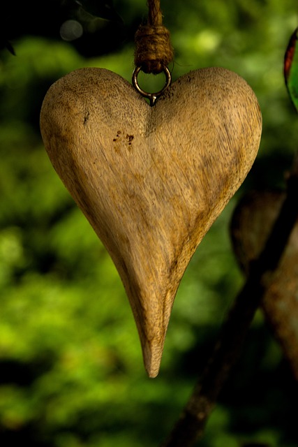 Heart, love, garden and valentine's day — photo by jakob-wiesinger
