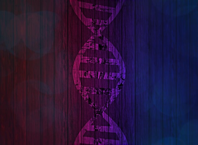 Dna, Desoxyribonukleinsäure