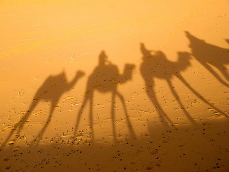 Free Camel The Shade photo and picture