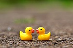 ducky, figures, cute