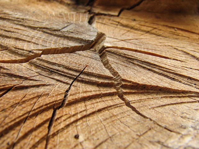 Free Wood Detail photo and picture